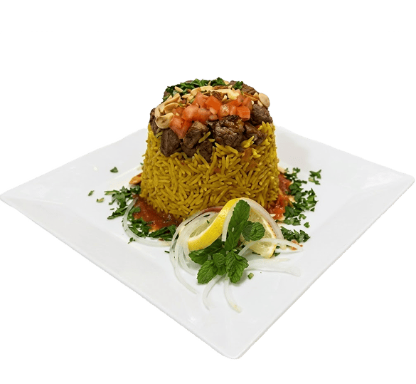Biryani Plate (بيرياني بلاتي)